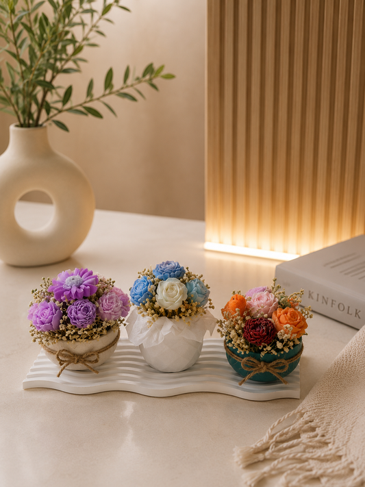 Beton Saksıda Çiçek Buketleri